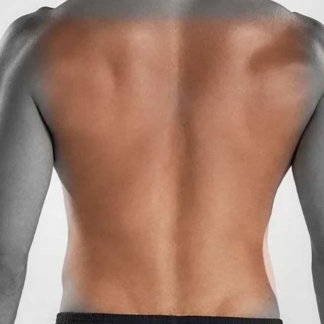 Full Back-6 Sessions (MEN) at Eclectic Aesthetics in White Plains, NY