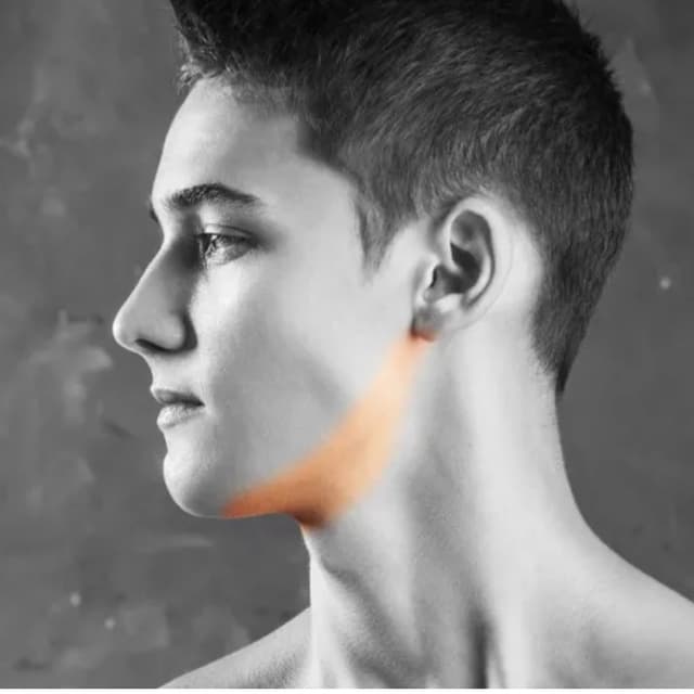 Beard Line-6 Sessions at Eclectic Aesthetics in White Plains, NY